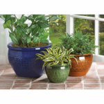 jewel-tone-flower-pot-trio-49